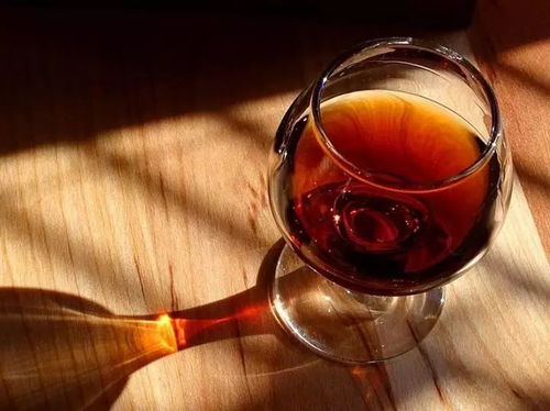 杯中歲月 一酒、一書、一知己，共飲人間滋味
