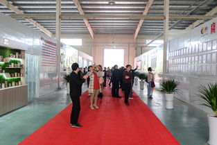 扁醫食療養生全餐全國發布會圓滿舉行，專業會議服務賦能健康新篇章